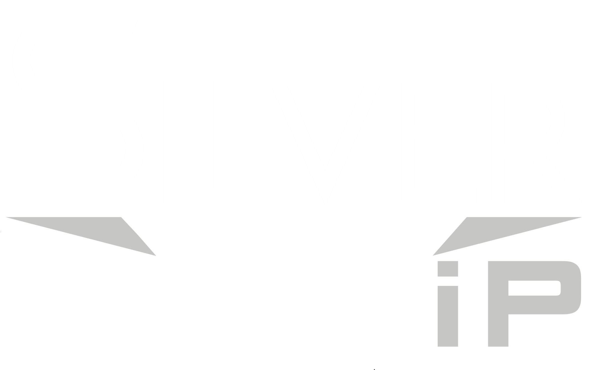 SILVER-VIP-LOGOs